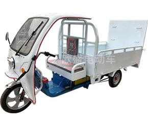 深圳CZOS-DDSL-6T240L 電動(dòng)三輪六桶車
